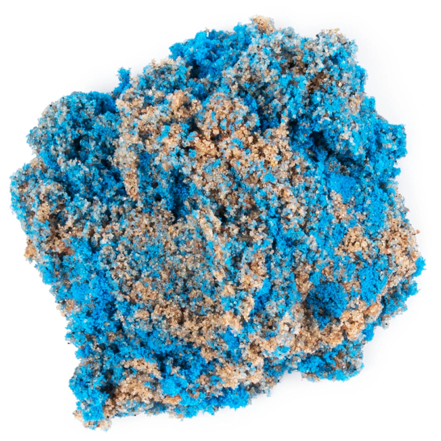 , Seashell Containers 8-Pack, for Kids Ages 3 and Up